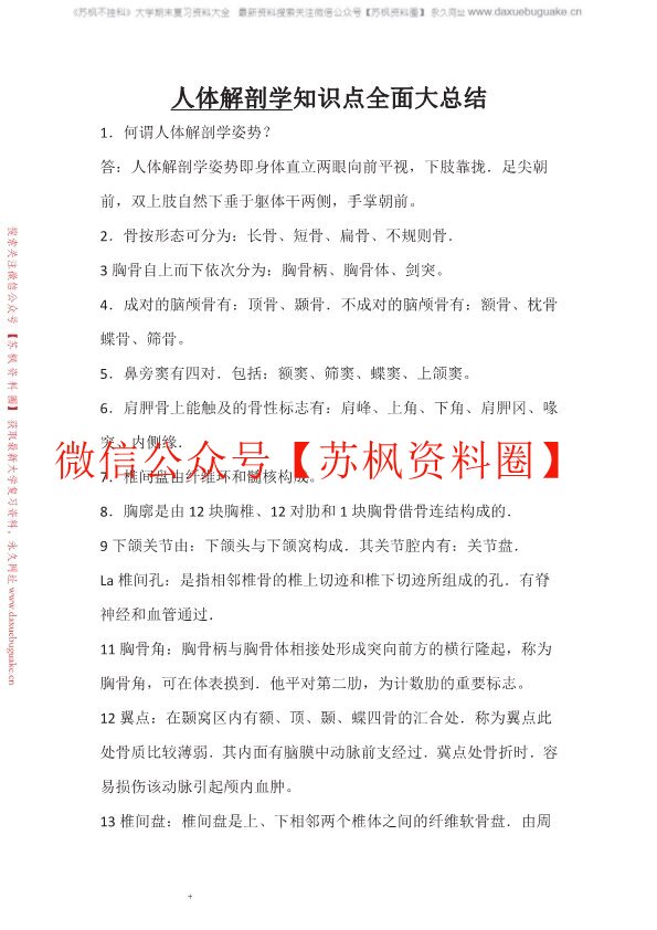 人体解剖学